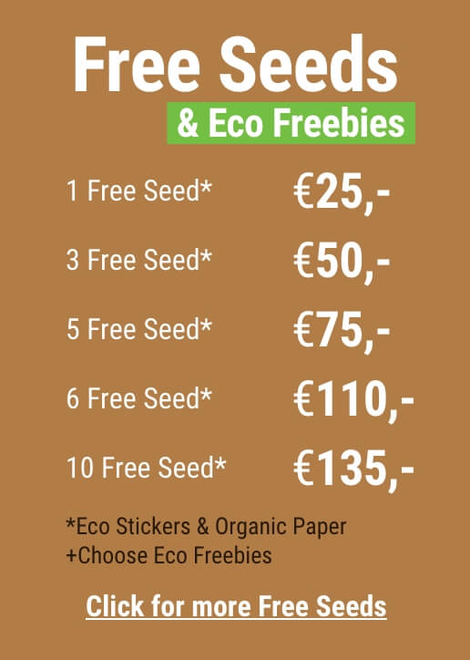 free cannabis seeds